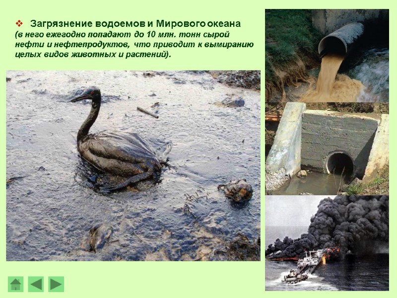 Загрязнение водоемов и Мирового океана    (в него ежегодно попадают до 10